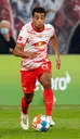 Headshot de Tyler Adams